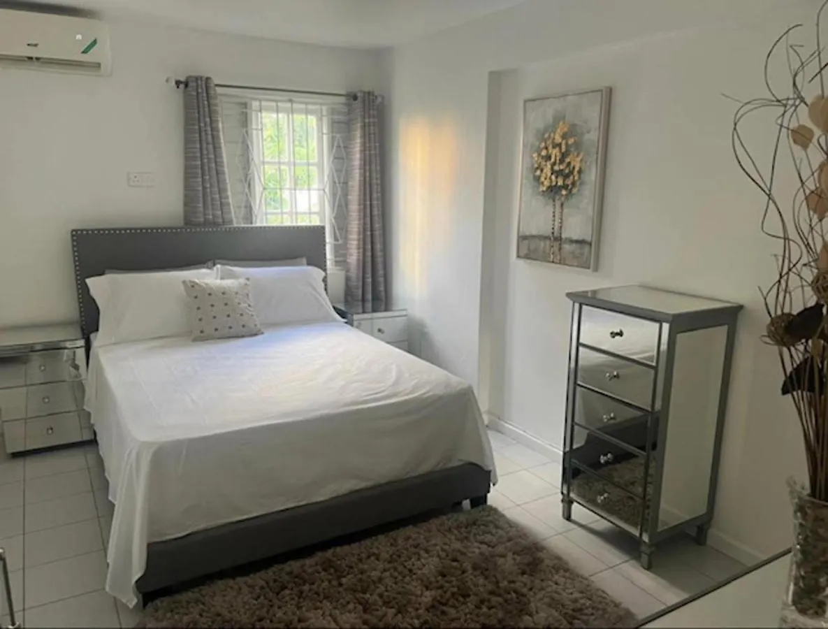 Cozy Central 1-Bed Apartment In קינגסטון